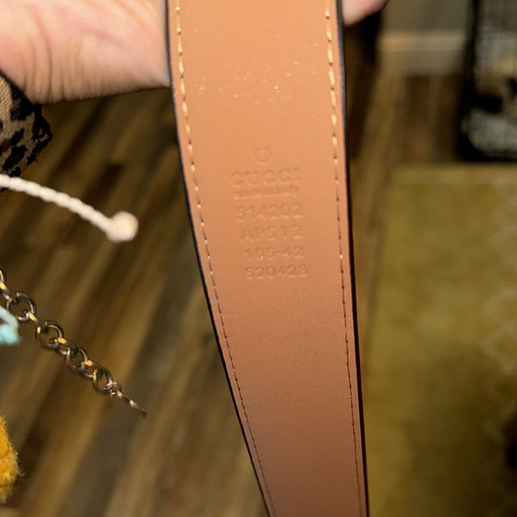 Gucci Belt - Black on Webbing - Picture 6 of 7